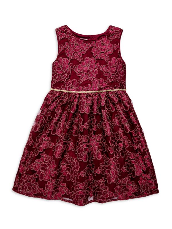 Pippa & Julie Little Girl's & Girl's Floral Embroidered Dress